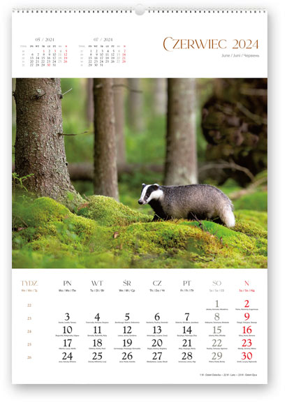 RW3 Dzika przyroda - kalendarium