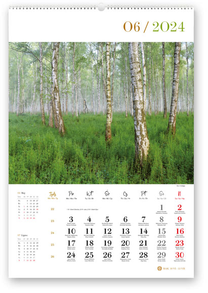 Kalendarz 13-planszowy, ścienny, reklamowy<br />RW Lasy polskie